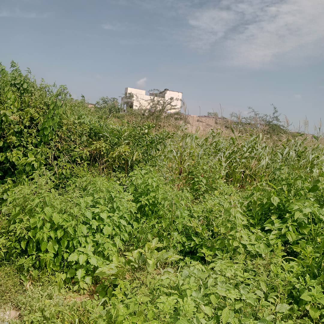 IMG-20240930-WA0028