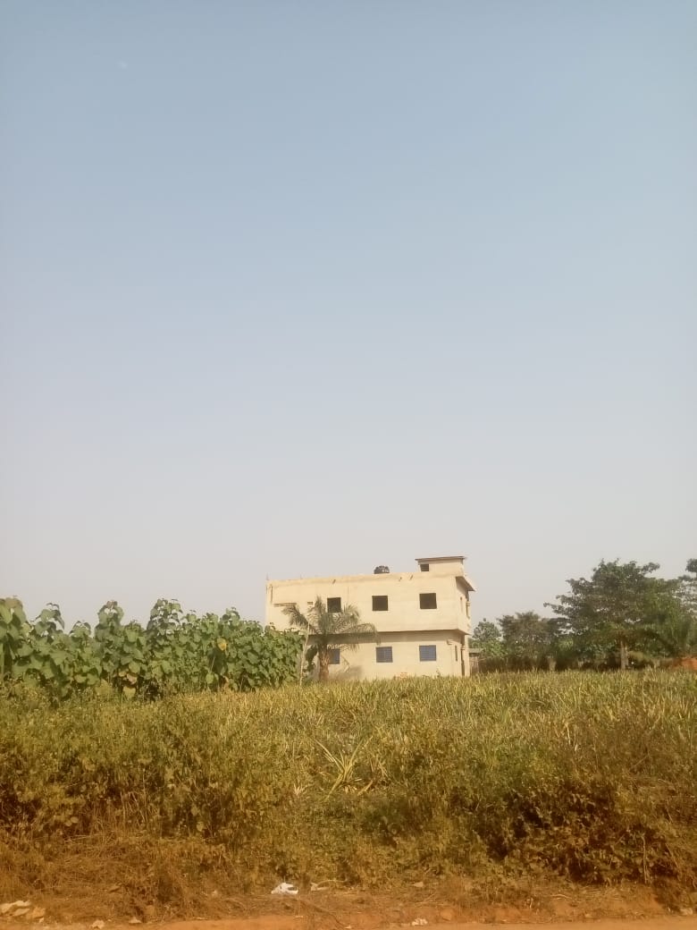 WhatsApp Image 2026-01-26 at 19.07.36 (1)